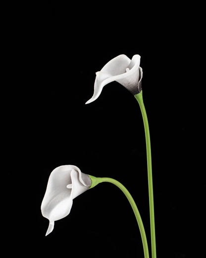 20Pcs Artificial Calla Lily Flower Real Touch Latex Flowers for DIY Wedding Bouquet Party Home Decor (Coral)
