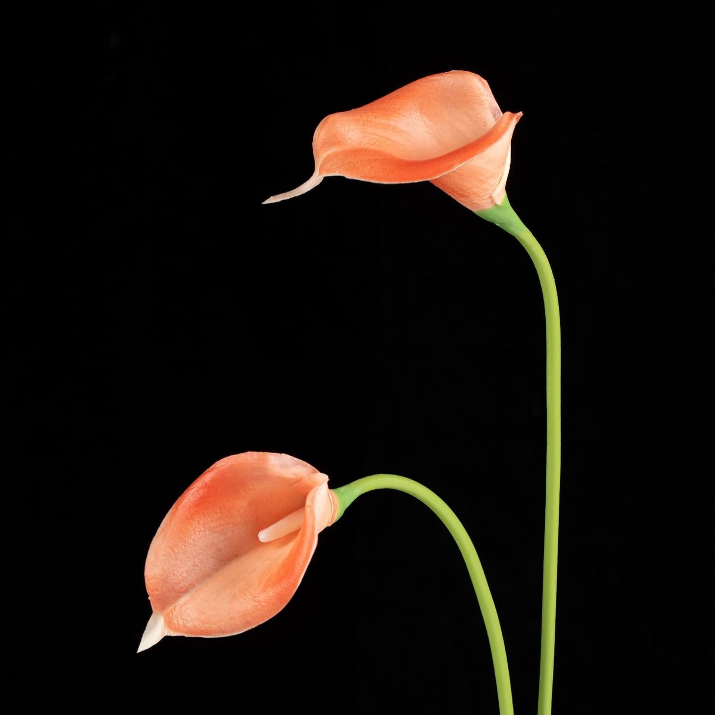 20Pcs Artificial Calla Lily Flower Real Touch Latex Flowers for DIY Wedding Bouquet Party Home Decor (Coral)