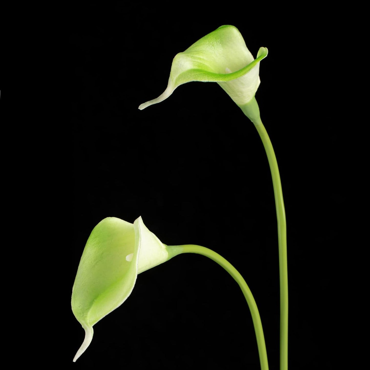 20Pcs Artificial Calla Lily Flower Real Touch Latex Flowers for DIY Wedding Bouquet Party Home Decor (Coral)
