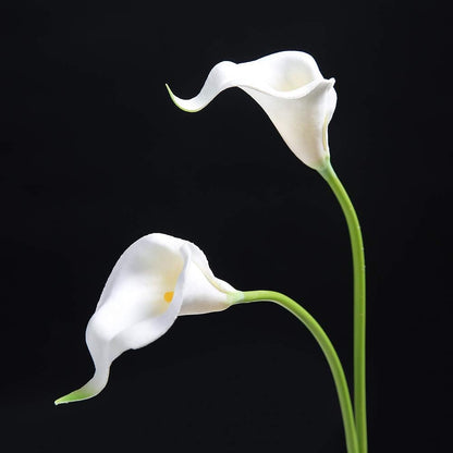 20Pcs Artificial Calla Lily Flower Real Touch Latex Flowers for DIY Wedding Bouquet Party Home Decor (Coral)