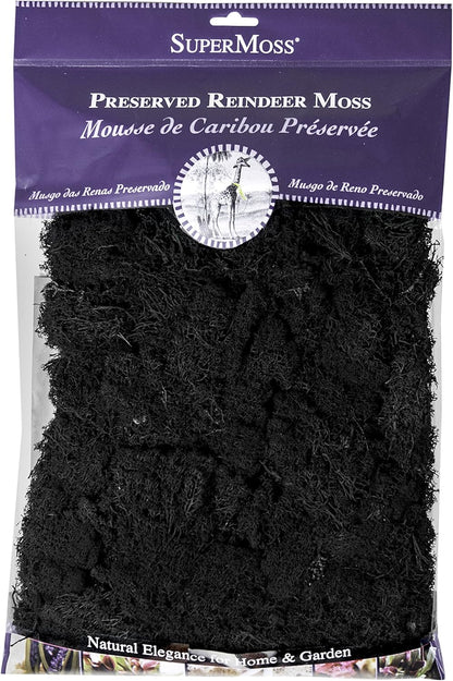 21669 Reindeer Moss Preserved, Chartreuse, 8oz (200 cubic inch)