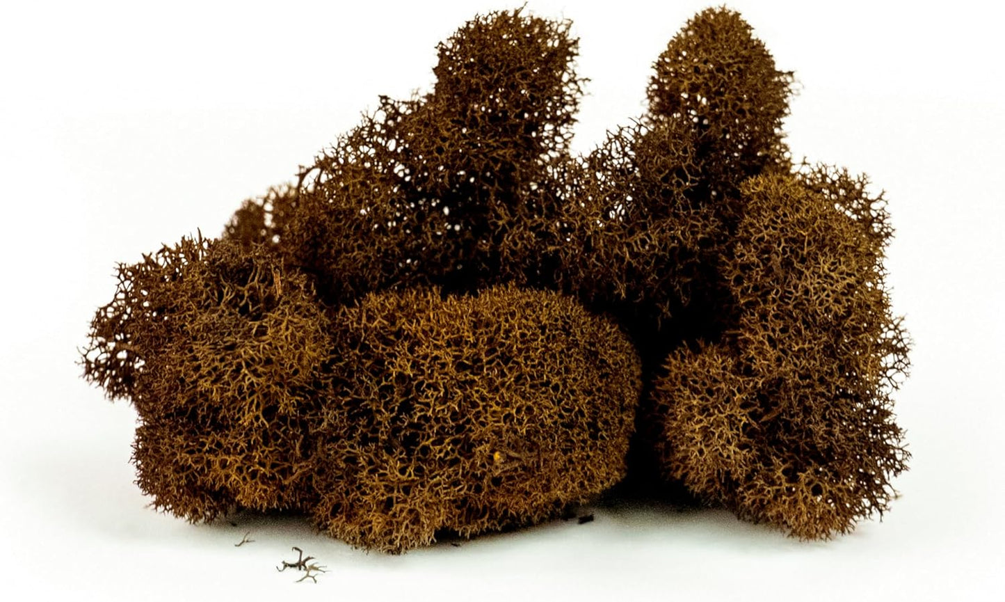 21669 Reindeer Moss Preserved, Chartreuse, 8oz (200 cubic inch)