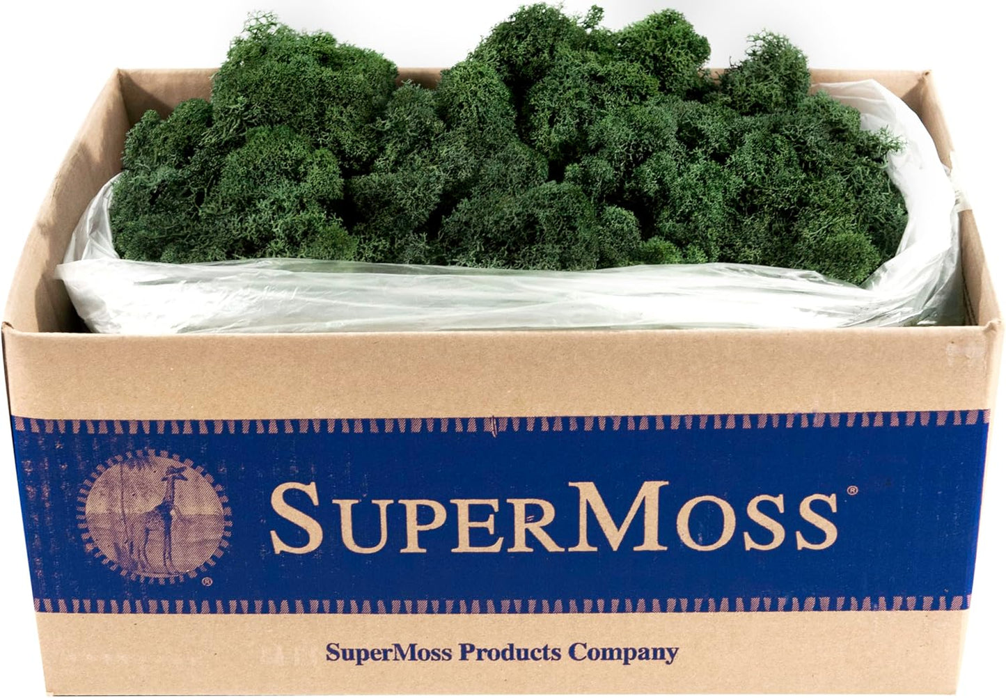 21669 Reindeer Moss Preserved, Chartreuse, 8oz (200 cubic inch)