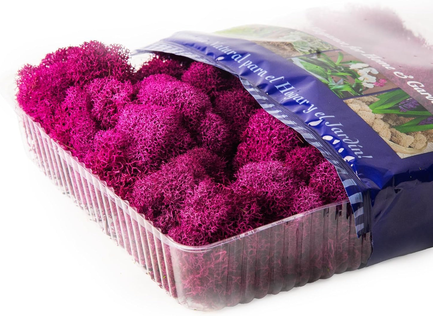 21669 Reindeer Moss Preserved, Chartreuse, 8oz (200 cubic inch)