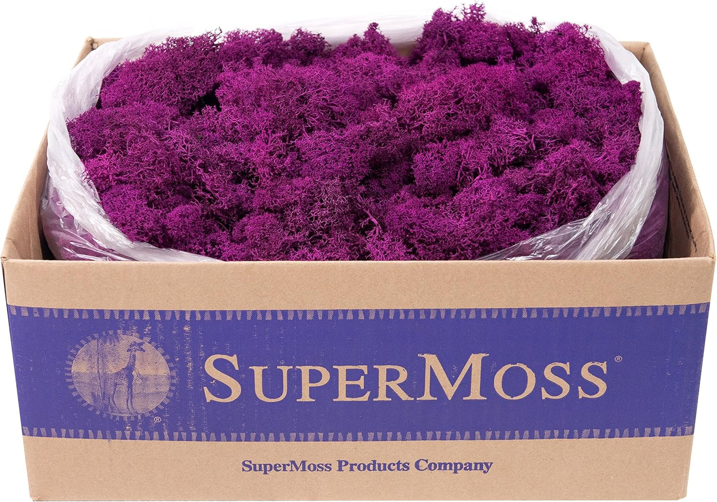 21669 Reindeer Moss Preserved, Chartreuse, 8oz (200 cubic inch)