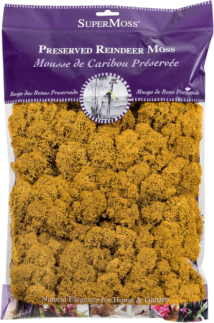 21669 Reindeer Moss Preserved, Chartreuse, 8oz (200 cubic inch)