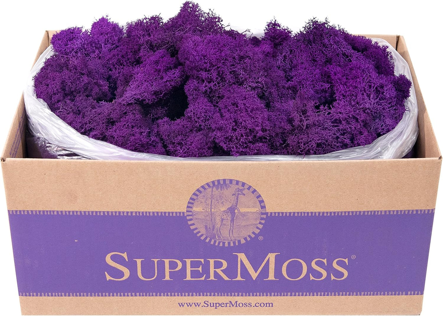 21669 Reindeer Moss Preserved, Chartreuse, 8oz (200 cubic inch)