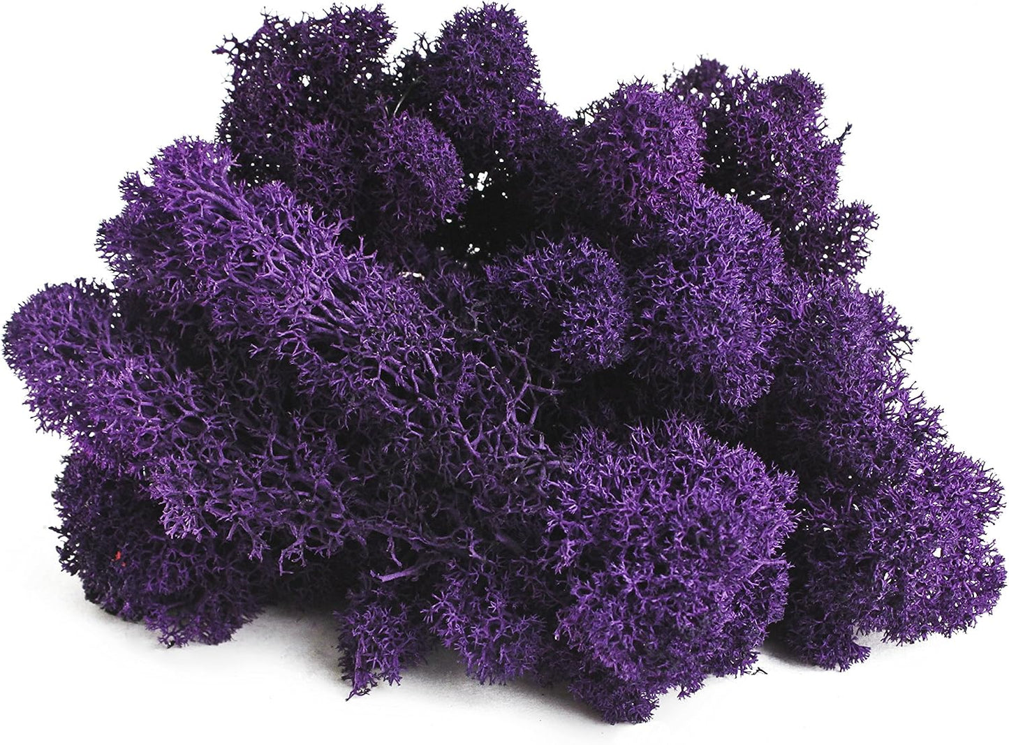 21669 Reindeer Moss Preserved, Chartreuse, 8oz (200 cubic inch)