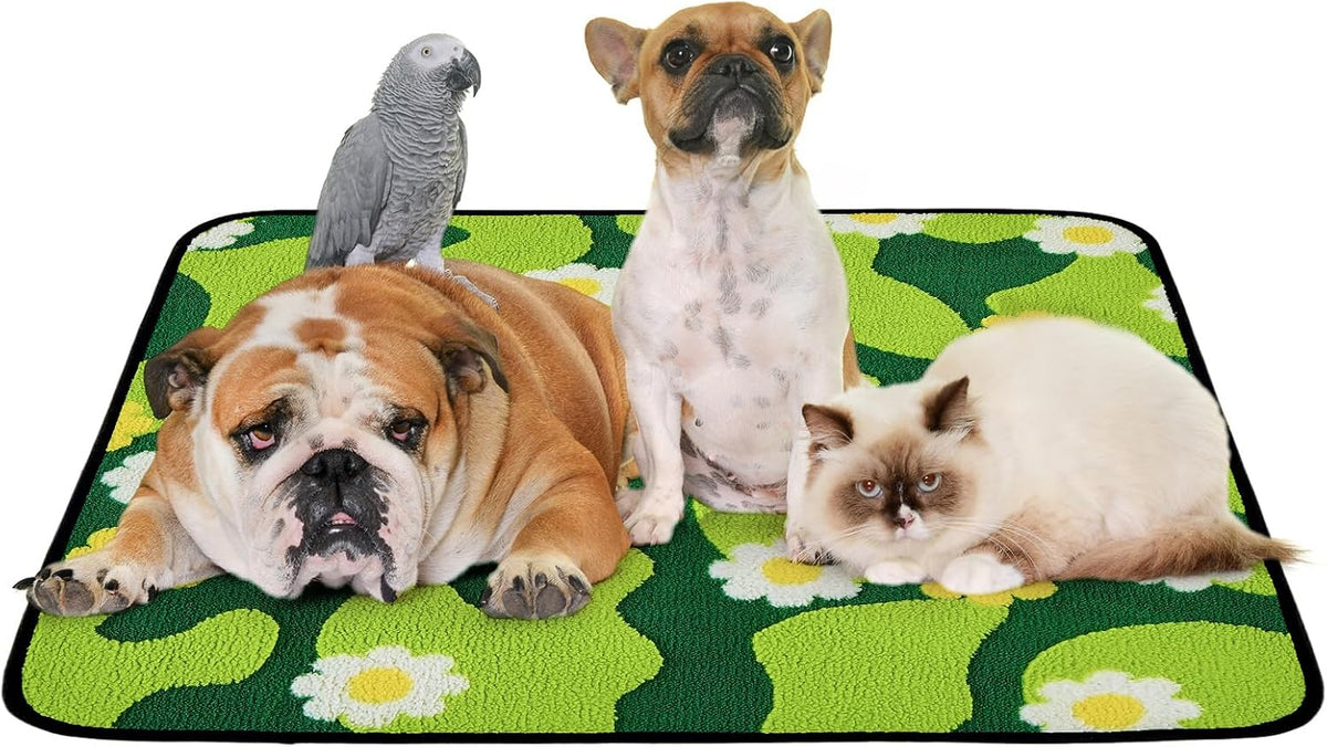 Reusable Puppy Pads for Small Dogs, Washable Pee Pads with Non-Slip , Absorbent Leakproof Mat for Crates, Playpens, Pet Beds & Whelping, Indoor Potty Training Grass Green, 24"x48", 2 Pack