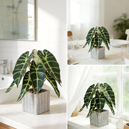 Artificial Potted Plant, Lifelike Faux Greenery in Decorative Cement-Look Square Pot for Indoor Home Decor Centerpieces (Alocasia)