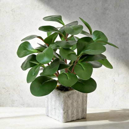 Artificial Potted Plant, Lifelike Faux Greenery in Decorative Cement-Look Square Pot for Indoor Home Decor Centerpieces (Alocasia)