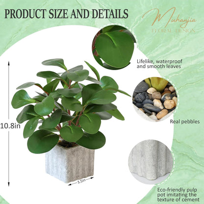Artificial Potted Plant, Lifelike Faux Greenery in Decorative Cement-Look Square Pot for Indoor Home Decor Centerpieces (Alocasia)