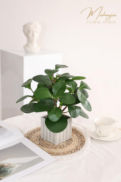 Artificial Potted Plant, Lifelike Faux Greenery in Decorative Cement-Look Square Pot for Indoor Home Decor Centerpieces (Alocasia)