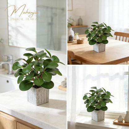 Artificial Potted Plant, Lifelike Faux Greenery in Decorative Cement-Look Square Pot for Indoor Home Decor Centerpieces (Alocasia)