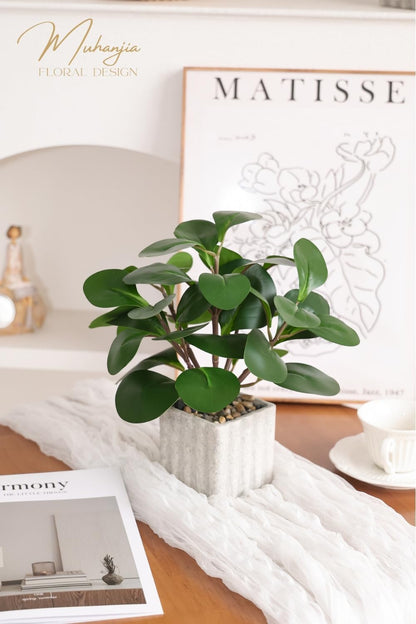 Artificial Potted Plant, Lifelike Faux Greenery in Decorative Cement-Look Square Pot for Indoor Home Decor Centerpieces (Alocasia)