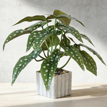 Artificial Potted Plant, Lifelike Faux Greenery in Decorative Cement-Look Square Pot for Indoor Home Decor Centerpieces (Alocasia)