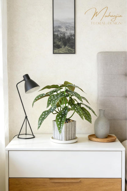 Artificial Potted Plant, Lifelike Faux Greenery in Decorative Cement-Look Square Pot for Indoor Home Decor Centerpieces (Alocasia)