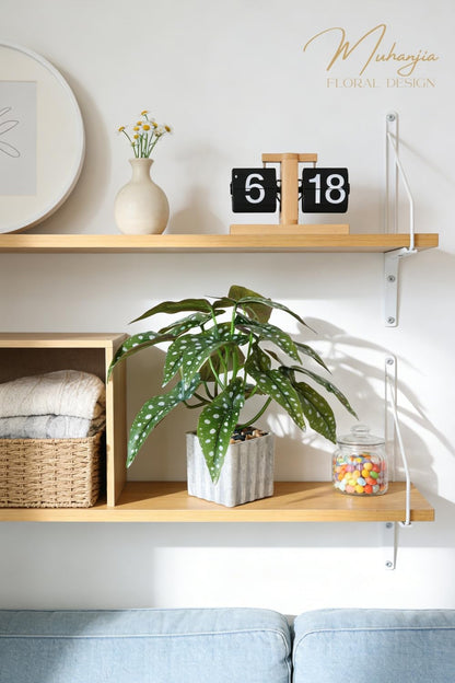 Artificial Potted Plant, Lifelike Faux Greenery in Decorative Cement-Look Square Pot for Indoor Home Decor Centerpieces (Alocasia)