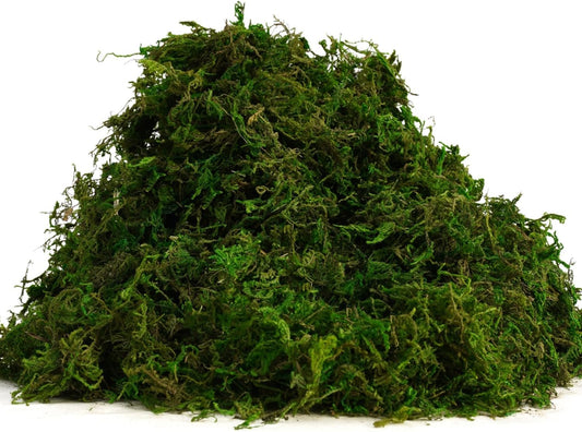 Green Moss for Crafts - 4OZ Fake Moss for Indoor Plants, Terrariums, Fairy Gardens & Tabletop Displays | Perfect for Miniature Scenes, Pot Filler & Home Decor Projects