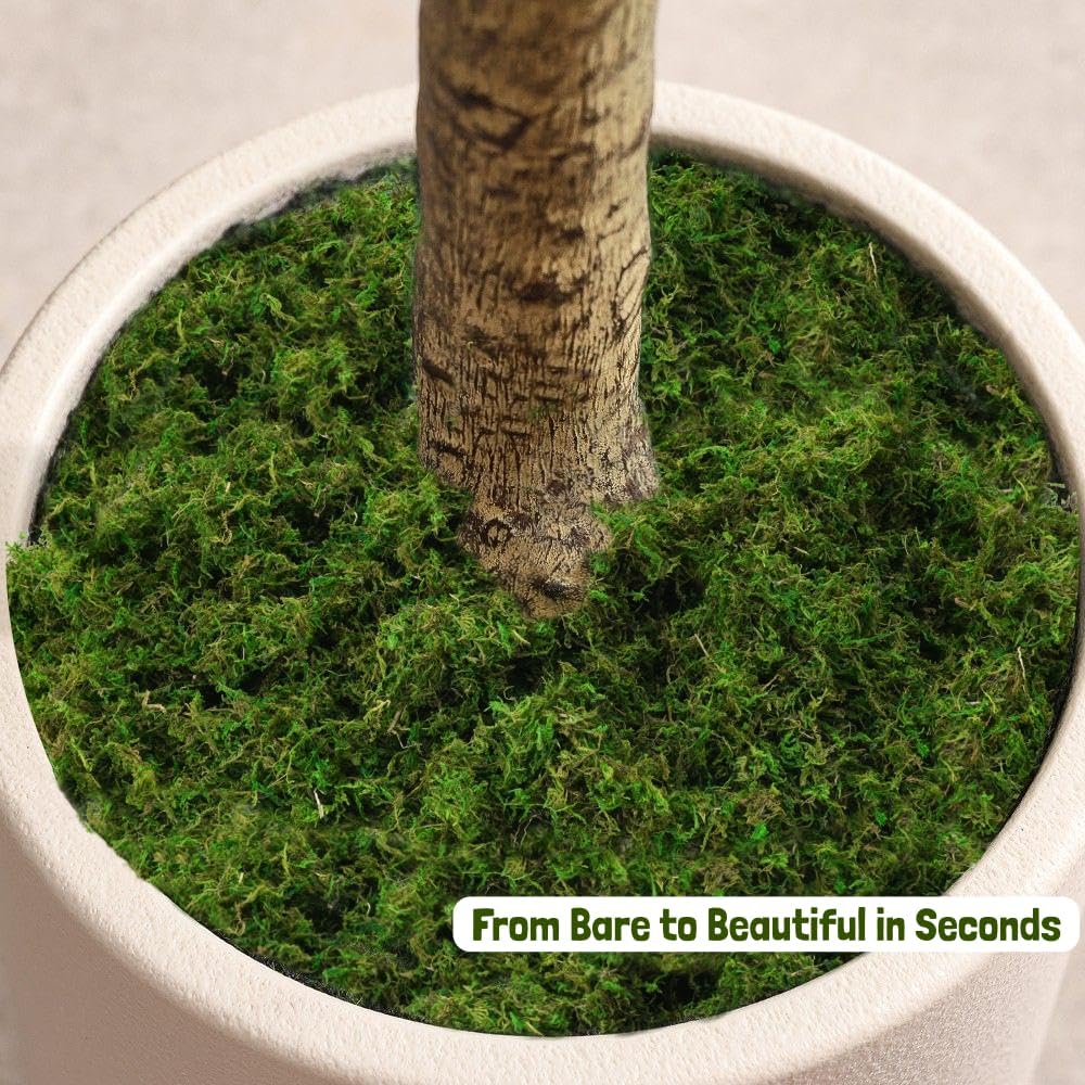 Green Moss for Crafts - 4OZ Fake Moss for Indoor Plants, Terrariums, Fairy Gardens & Tabletop Displays | Perfect for Miniature Scenes, Pot Filler & Home Decor Projects