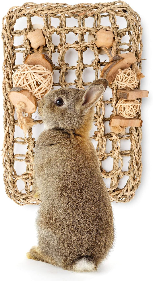 Rabbit Seagrass Protector Mat with Toys (11 X 7.87-inch)