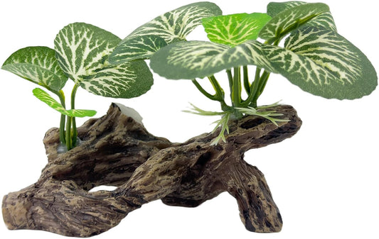 Aquarium Driftwood, Fish Tank Decor,Aquarium Plant Reptile Hideout & Terrarium Ornament, Type-A