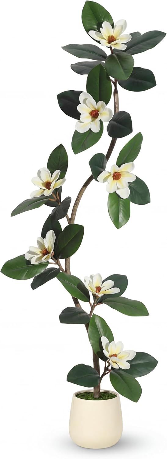 6ft Artificial Magnolia Tree, Faux Rubber Plant Floor Plant in White Planter, with 7 Pcs Magnolia Flowers for Home Decor for Home Office Living Room Decor