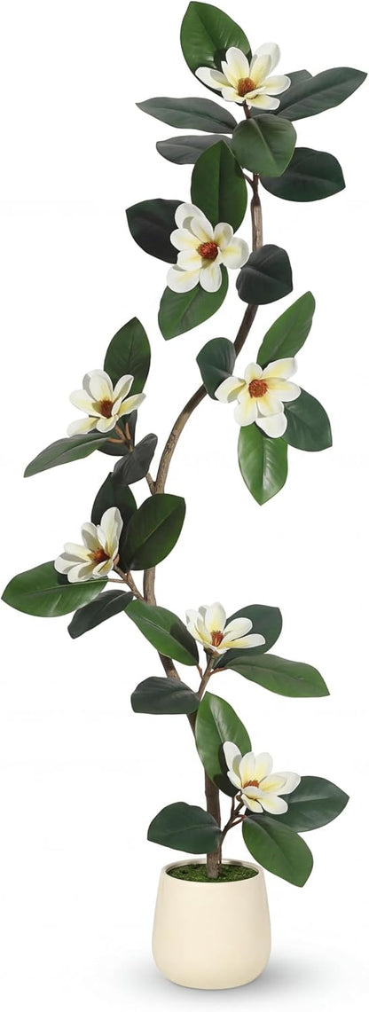 6ft Artificial Magnolia Tree, Faux Rubber Plant Floor Plant in White Planter, with 7 Pcs Magnolia Flowers for Home Decor for Home Office Living Room Decor