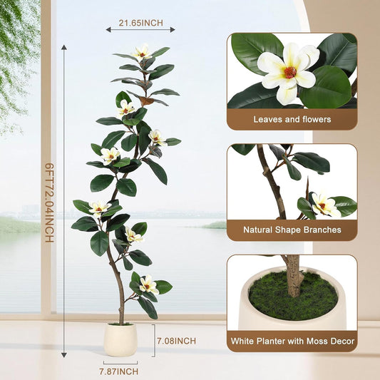 6ft Artificial Magnolia Tree, Faux Rubber Plant Floor Plant in White Planter, with 7 Pcs Magnolia Flowers for Home Decor for Home Office Living Room Decor
