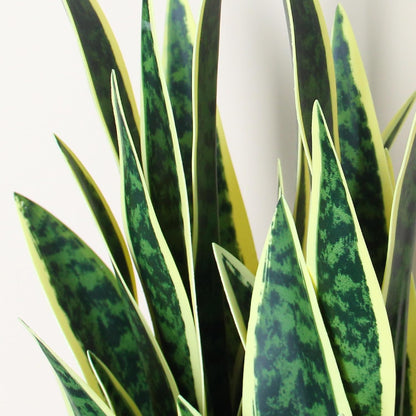3ft Artificial Snake Plant - Lifelike Leaves, Faux Silk Sansevieria