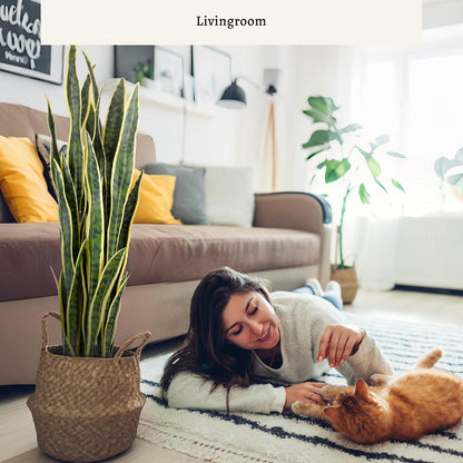 3ft Artificial Snake Plant - Lifelike Leaves, Faux Silk Sansevieria
