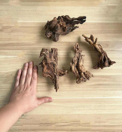 Small Natural Driftwood for Aquarium Styling Carefully Selected Natural Aquarium Decor Driftwood for Reptile Tank Reptile Tank Wood Decor (Driftwood 4-6inch 4pcs)