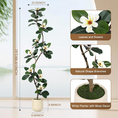 5FT Tall Lifelike Artificial Magnolia Tree with 7 Pcs Magnolia Flowers in White Planter Pot, Rubber Tree Faux Plants Indoor Artificial Plants & Flowers for Home Office Living Room Decor