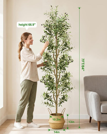 Olive Trees Artificial Indoor 6Ft Tall Faux Plants Large Fake Olivos Tree