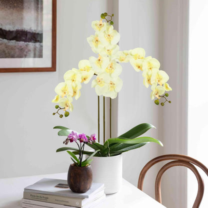 40.16" White Orchid Artificial Flowers 5PCS Fake Orchid Long Stems Phalaenopsis Branches Real Touch Silk Orchids for Vase for Bridal Shower Home Party Wedding Decoration (White)