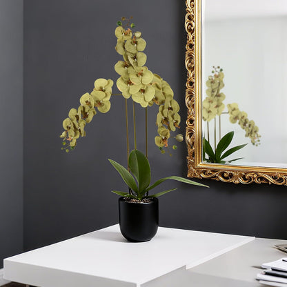 40.16" White Orchid Artificial Flowers 5PCS Fake Orchid Long Stems Phalaenopsis Branches Real Touch Silk Orchids for Vase for Bridal Shower Home Party Wedding Decoration (White)