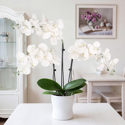 40.16" White Orchid Artificial Flowers 5PCS Fake Orchid Long Stems Phalaenopsis Branches Real Touch Silk Orchids for Vase for Bridal Shower Home Party Wedding Decoration (White)