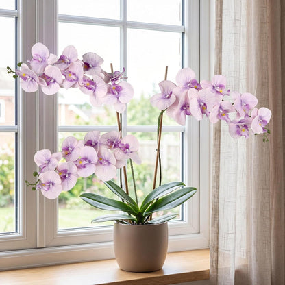 40.16" White Orchid Artificial Flowers 5PCS Fake Orchid Long Stems Phalaenopsis Branches Real Touch Silk Orchids for Vase for Bridal Shower Home Party Wedding Decoration (White)