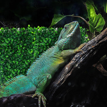 2pcs Hermit Crab Climbing Toys, 10x10 Inch Faux Grass Mat Reptile Plants Artificial Boxwood Panels Reptile Tank Accessories for Bearded Dragon Lizard Terrarium Decor (Green)