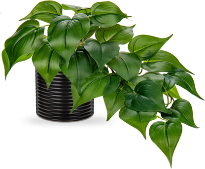 Artificial Plants Potted Alocasia Amazonica Polly Faux Plant with White Ceramic Pot Fake Hanging Plants Indoor for Home Living Room Shelf Office Aesthetic Decor
