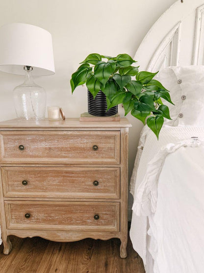 Artificial Plants Potted Alocasia Amazonica Polly Faux Plant with White Ceramic Pot Fake Hanging Plants Indoor for Home Living Room Shelf Office Aesthetic Decor
