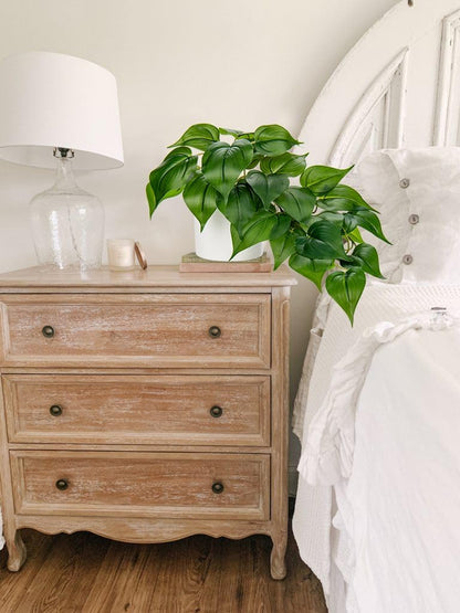 Artificial Plants Potted Alocasia Amazonica Polly Faux Plant with White Ceramic Pot Fake Hanging Plants Indoor for Home Living Room Shelf Office Aesthetic Decor