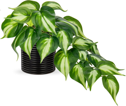 Artificial Plants Potted Alocasia Amazonica Polly Faux Plant with White Ceramic Pot Fake Hanging Plants Indoor for Home Living Room Shelf Office Aesthetic Decor