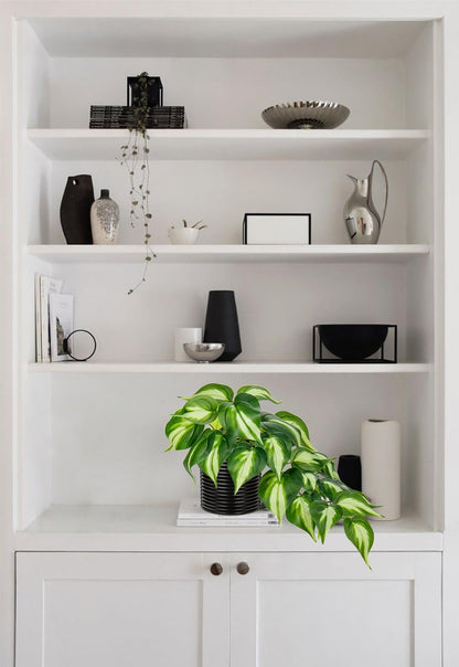 Artificial Plants Potted Alocasia Amazonica Polly Faux Plant with White Ceramic Pot Fake Hanging Plants Indoor for Home Living Room Shelf Office Aesthetic Decor
