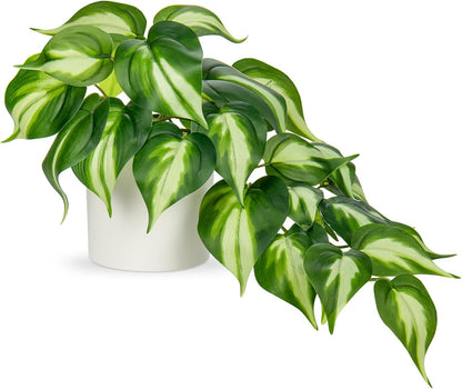 Artificial Plants Potted Alocasia Amazonica Polly Faux Plant with White Ceramic Pot Fake Hanging Plants Indoor for Home Living Room Shelf Office Aesthetic Decor