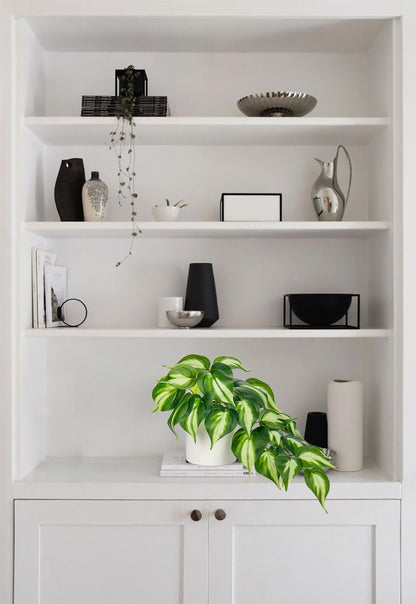 Artificial Plants Potted Alocasia Amazonica Polly Faux Plant with White Ceramic Pot Fake Hanging Plants Indoor for Home Living Room Shelf Office Aesthetic Decor