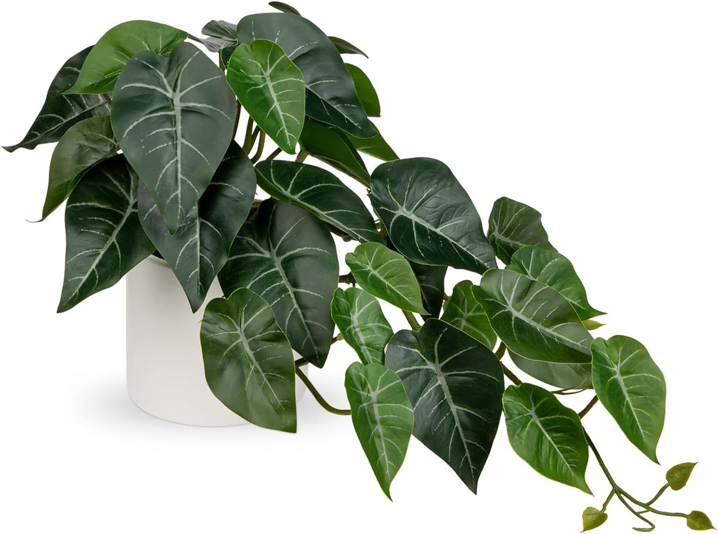 Artificial Plants Potted Alocasia Amazonica Polly Faux Plant with White Ceramic Pot Fake Hanging Plants Indoor for Home Living Room Shelf Office Aesthetic Decor