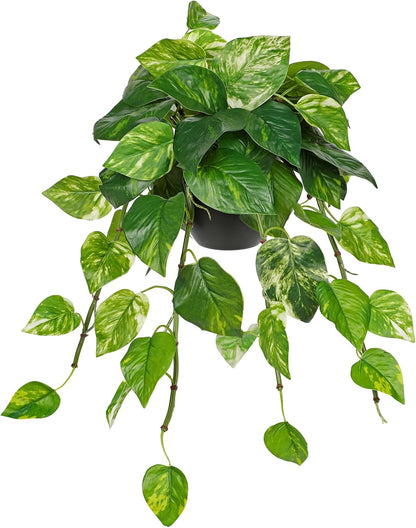 Artificial Plants Potted Alocasia Amazonica Polly Faux Plant with White Ceramic Pot Fake Hanging Plants Indoor for Home Living Room Shelf Office Aesthetic Decor