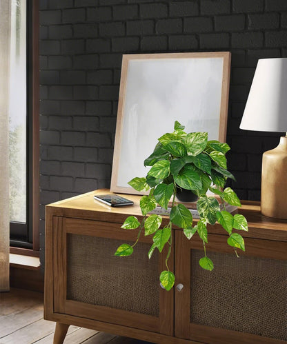 Artificial Plants Potted Alocasia Amazonica Polly Faux Plant with White Ceramic Pot Fake Hanging Plants Indoor for Home Living Room Shelf Office Aesthetic Decor