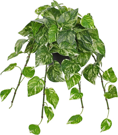 Artificial Plants Potted Alocasia Amazonica Polly Faux Plant with White Ceramic Pot Fake Hanging Plants Indoor for Home Living Room Shelf Office Aesthetic Decor